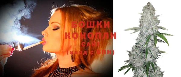 СК Семилуки