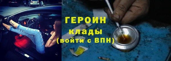 шишки Слюдянка