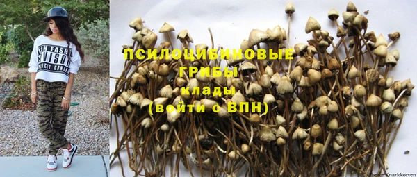 прущие грибы Снежинск