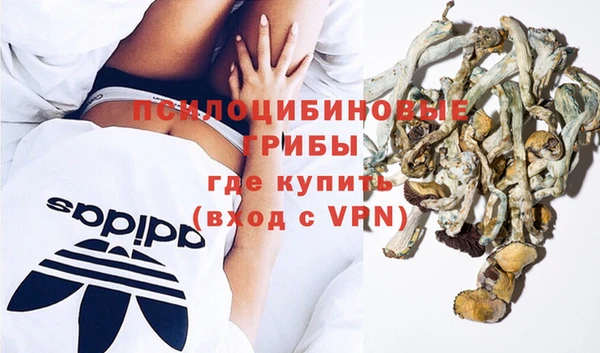 мдпв Невель