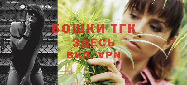 СК Семилуки