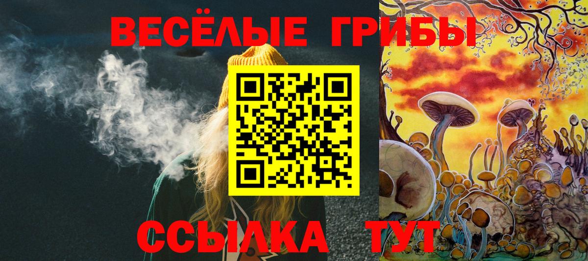 Советск  Псилоцибиновые грибы прущие грибы  Вход с VPN  Псилоцибиновые грибы MAGIC MUSHROOMS 