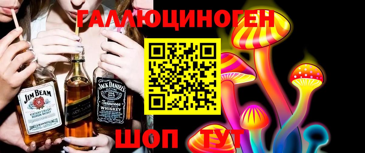 Псилоцибиновые грибы GOLDEN TEACHER Советск