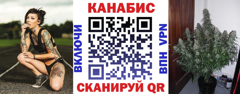 mega онион  хочу наркоту  Советск  Марихуана SATIVA & INDICA 